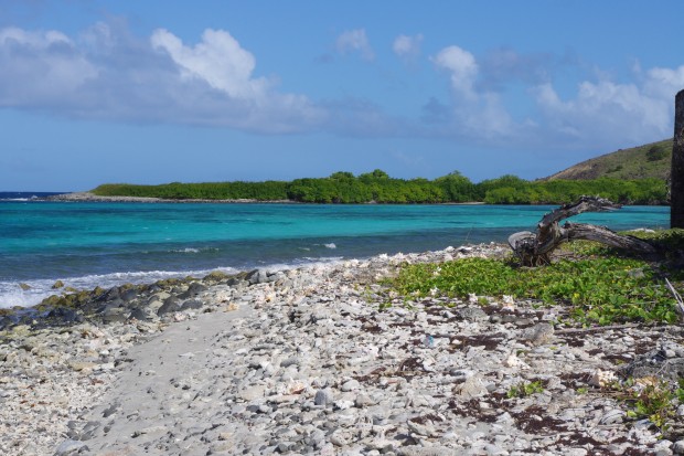 Saline Island